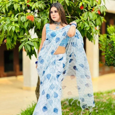 Premium Moslin Silk Screen Print Saree